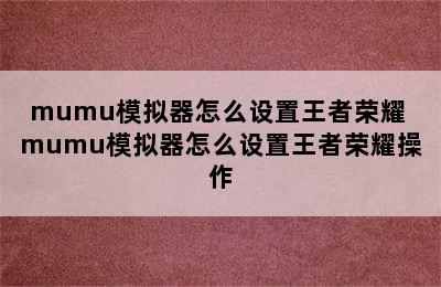 mumu模拟器怎么设置王者荣耀 mumu模拟器怎么设置王者荣耀操作